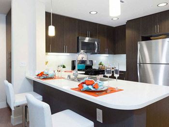 Modern Kitchen with Stainless Steel appliances